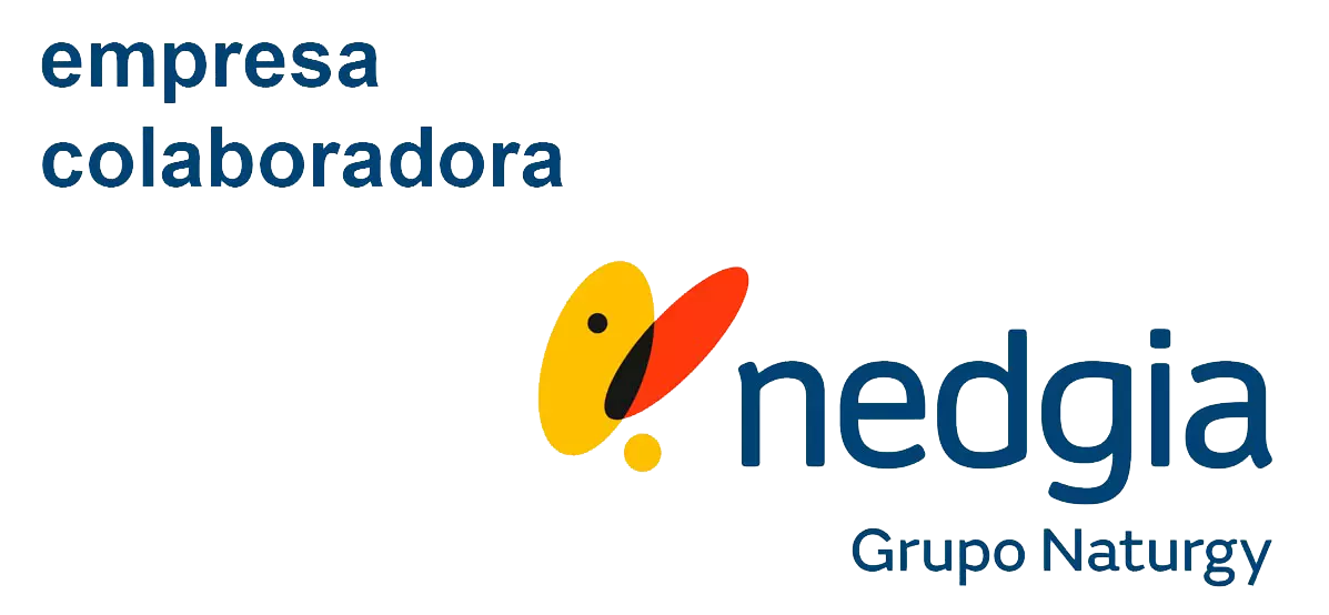 Logo de NEDGIA